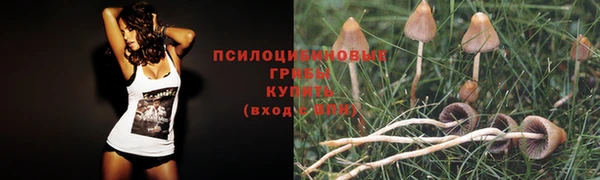 apvp Баксан