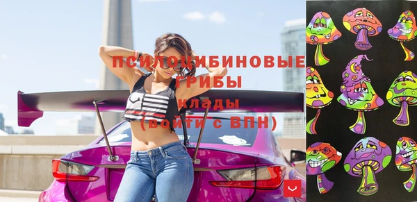 apvp Баксан