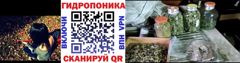 Купить  Новоржев  Бошки Шишки план 